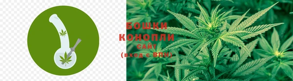 ешки Нефтегорск