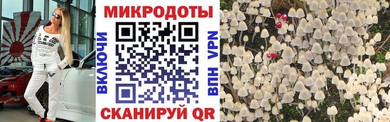 Псилоцибиновые грибы GOLDEN TEACHER  ссылка на мегу сайт  Миньяр  где найти наркотики 